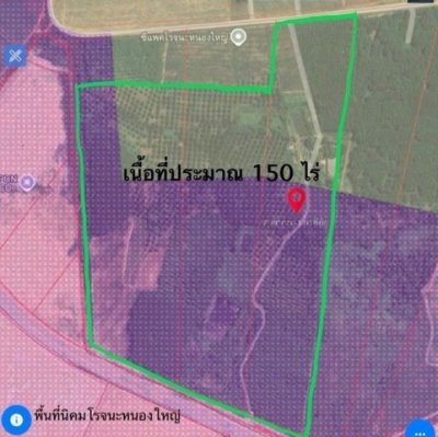 ให้เช่าที่ดินและขายที่ดิน ทำเลทอง ติดนิคมอุตสาหกรรมโรจนะ หนองใหญ่ ชลบุรี - รูปที่ 8