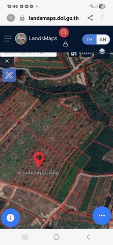 ขายที่ดินพร้อมสวนต้นสัก อำเภอเวียงสา จังหวัดน่าน เนื้อที่ 31 ไร่ - รูปที่ 6