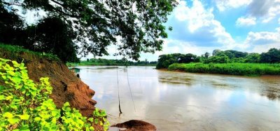 ขายที่ดินติดแม่น้ำชี 3 ไร่ อำเภอเมืองมหาสารคาม ทำเลดี ติดถนนหลัก ไปกาฬสินธุ์ เหมาะค้าขาย ร้านอาหาร คาเฟ่่ริมน้ำรีสอร์ท - รูปที่ 4