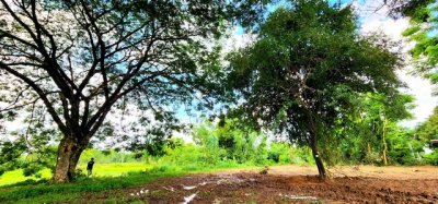 ขายที่ดินติดแม่น้ำชี 3 ไร่ อำเภอเมืองมหาสารคาม ทำเลดี ติดถนนหลัก ไปกาฬสินธุ์ เหมาะค้าขาย ร้านอาหาร คาเฟ่่ริมน้ำรีสอร์ท - รูปที่ 3