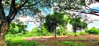 ขายที่ดินติดแม่น้ำชี 3 ไร่ อำเภอเมืองมหาสารคาม ทำเลดี ติดถนนหลัก ไปกาฬสินธุ์ เหมาะค้าขาย ร้านอาหาร คาเฟ่่ริมน้ำรีสอร์ท - รูปที่ 6