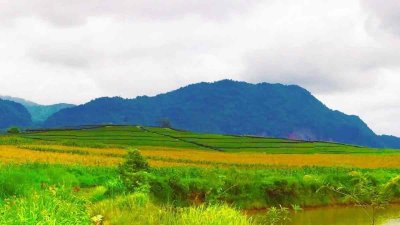 ขายที่ดินพรีเมียมติด Singha Park เชียงราย | 14 ไร่ | วิวภูเขาพาโนรามา - รูปที่ 2