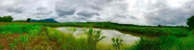 ขายที่ดินพรีเมียมติด Singha Park เชียงราย | 14 ไร่ | วิวภูเขาพาโนรามา - รูปที่ 5
