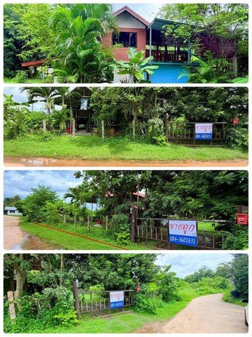 ขายบ้านสวน ในเมือง อุบลราชธานี   1 ไร่ 81.1 ตร.ว. เป็นที่ดินพร้อมสิ่งปลูกสร้าง มีบ้าน 1 หลัง และสถานที่พักผ่อน - รูปที่ 6