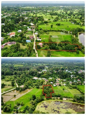 ขายบ้านสวน ในเมือง อุบลราชธานี   1 ไร่ 81.1 ตร.ว. เป็นที่ดินพร้อมสิ่งปลูกสร้าง มีบ้าน 1 หลัง และสถานที่พักผ่อน - รูปที่ 4