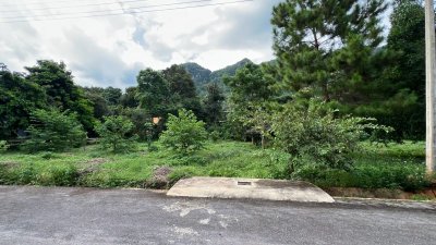 ขายที่ดินวิวภูเขา เขาใหญ่–พญาเย็น ในโครงการเขาลอย รีสอร์ท | แบ่งขายได้ เริ่มต้น 2.9 ล้านบาท - รูปที่ 6