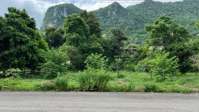 ขายที่ดินวิวภูเขา เขาใหญ่–พญาเย็น ในโครงการเขาลอย รีสอร์ท | แบ่งขายได้ เริ่มต้น 2.9 ล้านบาท - รูปที่ 5