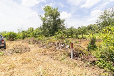 ขายที่ดินเปล่าถมแล้ว 60 ตร.วา รังสิต-นครนายก คลอง 11 ติดถนนคอนกรีต แปลงสวยพร้อมปลูกบ้าน - รูปที่ 4