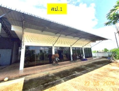 ขายอาคารสำนักงานลำปาง 2 ชั้น อำเภอเกาะคา ถนนสายลำปางกลาง-ลำปางหลวง - รูปที่ 6