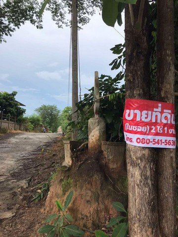 ขายที่ดิน 2 ไร่ 3 งาน ตารางวาละ 1500  บ้าน ดอนเจริญ ตำบลดอยลาน เมืองเชียงราย - รูปที่ 2
