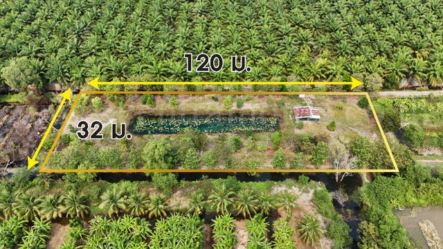 ขายด่วน ที่ดินเปล่า 2-1-60 ไร่ เลียบคลอง 12 หนองเสือ ราคาถูก
