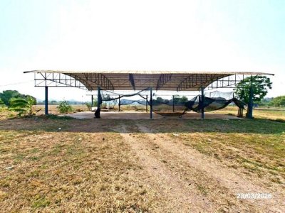 ขายอาคารสำนักงานเมืองราชบุรี ถนนสายบ้านห้วย-ท่าปูทิม(บ้านหนองโป่ง) - รูปที่ 3