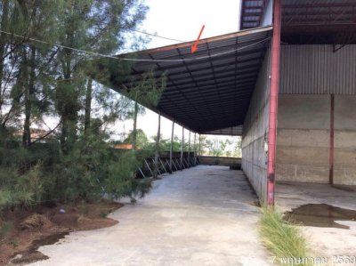 ขายโกดังชั้นเดียว พะเยา ถนน สายบัวสถาน-ศรีจอมแจ้ง จุน พะเยา - รูปที่ 5