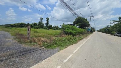 ขายที่ดินคลองสาม 2 แปลงติดกัน รวม 1,180 ตร.ว. ติดถนนเลียบคลองสาม ใกล้ตลาดพี่ญาคนรุม - รูปที่ 5