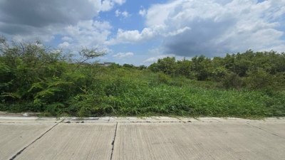 ที่ดินทำเลดี ตำบลคลองสอง อำเภอคลองหลวง จังหวัดปทุมธานี ตั้งอยู่บริเวณ ซอยกลั่นกรอง 2 ระหว่างซอยไอยรา 6 - รูปที่ 2