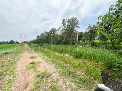 ขาย ที่ดินจัดสรร ลำลูกกา คลอง16 องครักษ์ เริ่ม 100 ตร.ว. - 1 ไร่ อ่านรายละเอียดด้านล่าง - รูปที่ 5