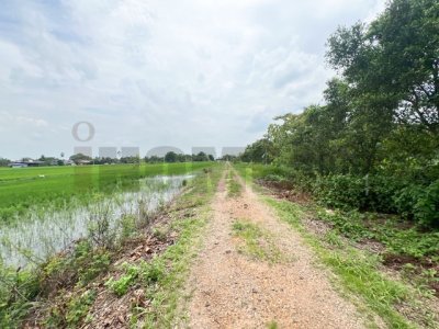 ขาย ที่ดินจัดสรร ลำลูกกา คลอง16 องครักษ์ เริ่ม 100 ตร.ว. - 1 ไร่ อ่านรายละเอียดด้านล่าง - รูปที่ 8