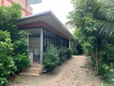 ที่ดินสวนออร์แกนิค 5 ไร่ ทำเลศักยภาพ ใกล้วัดไร่ขิง–ดอนหวาย–เซ็นทรัลศาลายา พื้นที่ธรรมชาติที่ผสมความสะดวกและความสงบได้อย่างลงตัว - รูปที่ 4