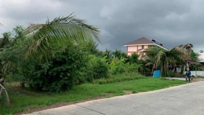 ที่ดินสวนออร์แกนิค 5 ไร่ ทำเลศักยภาพ ใกล้วัดไร่ขิง–ดอนหวาย–เซ็นทรัลศาลายา พื้นที่ธรรมชาติที่ผสมความสะดวกและความสงบได้อย่างลงตัว - รูปที่ 2
