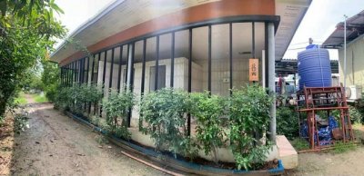 ที่ดินสวนออร์แกนิค 5 ไร่ ทำเลศักยภาพ ใกล้วัดไร่ขิง–ดอนหวาย–เซ็นทรัลศาลายา พื้นที่ธรรมชาติที่ผสมความสะดวกและความสงบได้อย่างลงตัว - รูปที่ 5