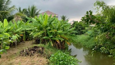ที่ดินสวนออร์แกนิค 5 ไร่ ทำเลศักยภาพ ใกล้วัดไร่ขิง–ดอนหวาย–เซ็นทรัลศาลายา พื้นที่ธรรมชาติที่ผสมความสะดวกและความสงบได้อย่างลงตัว - รูปที่ 3