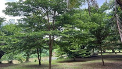 ขายที่ดินติดแม่น้ำนครนายก ล่องแก่งได้ บรรยากาศธรรมชาติ วิวเขา เริ่มต้นเพียง 5 ล้านบาทเท่านั้น ต.สาริกา อ.เมืองนครนายก - รูปที่ 5