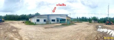 ขายโกดังชั้นดียว นราธิวาส ตำบลกะลุวอ อำเภอ เมืองนราธิวาส - รูปที่ 6