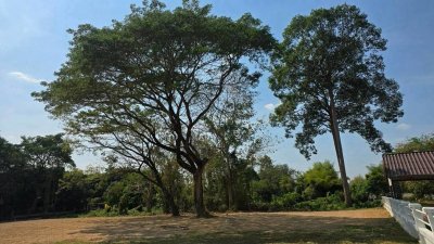 ลดเป็นล้าน ที่ดินสวยติดถนนเลียบแม่น้ำนครนายก ต.สาริกา อ.เมืองนครนายก สำหรับคนที่มองหาแปลงริมน้ำทำเลท่องเที่ยว - รูปที่ 5