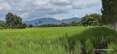 ขายที่สวยติดถนน ทำเลดี อยู่เองก็ได้ค้าขายก็ดี ต.เขาเพิ่ม อ.บ้านนา จ.นครนายก ถมสูงประมาณ 1 เมตรจากพื้นนาเดิม ทำเลเดินทางสะดวก - รูปที่ 3