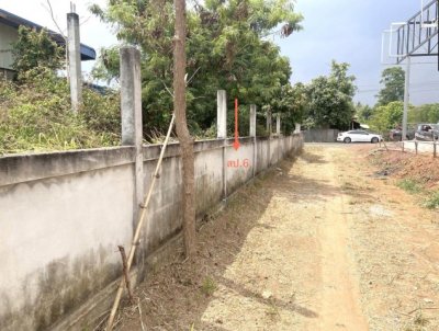 ขายโกดัง ถนนสายบ้านบัวผักเกวียน - บ้านโนนตุ่น ชัยภูมิ ตำบลบ้านดอน อำเภอภูเขียว - รูปที่ 7