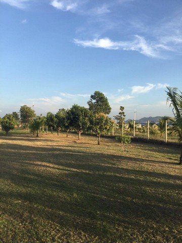 ขายที่ดินบ้านสวน ตำบลพุแค อำเภอเฉลิมพระเกียรติ จังหวัด สระบุรี - รูปที่ 2
