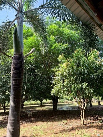 ขายที่ดินบ้านสวน ตำบลพุแค อำเภอเฉลิมพระเกียรติ จังหวัด สระบุรี - รูปที่ 5