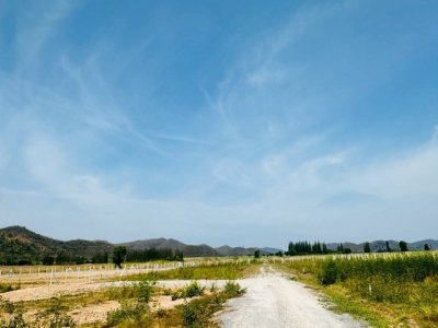 ขาย ที่ดิน - 490000 บาท ใกล้กับ ชะอำ วิวเขา เซเว่น ตลาด - รูปที่ 3