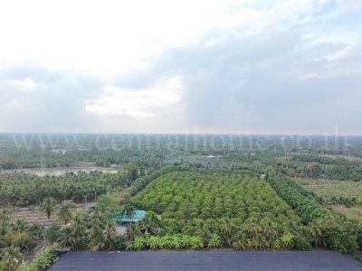 ขายด่วน ที่ดิน พร้อมสิ่งปลูกสร้าง 9-3-60 ไร่ สามพราน นครปฐม ทำเลดี - รูปที่ 2