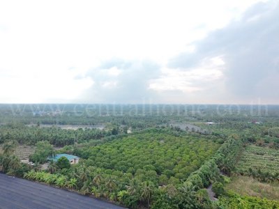 ขายด่วน ที่ดิน พร้อมสิ่งปลูกสร้าง 9-3-60 ไร่ สามพราน นครปฐม ทำเลดี - รูปที่ 3