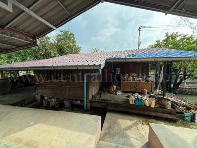 ขายด่วน ที่ดิน พร้อมสิ่งปลูกสร้าง 9-3-60 ไร่ สามพราน นครปฐม ทำเลดี - รูปที่ 7