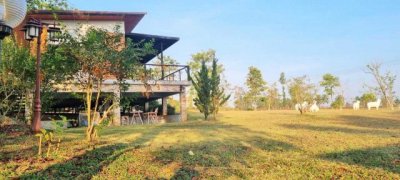 ขาย ที่ดิน 2 ไร่ กว้างขวาง เป็นส่วนตัว  เป็นแปลงมุม ติดถนนสาธารณะ - รูปที่ 4
