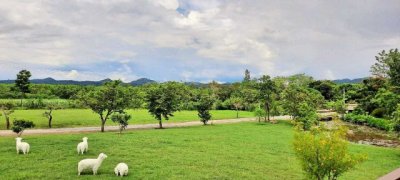 ขาย ที่ดิน 2 ไร่ กว้างขวาง เป็นส่วนตัว  เป็นแปลงมุม ติดถนนสาธารณะ - รูปที่ 6