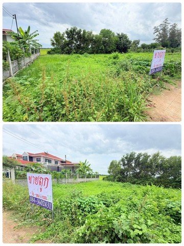 ขาย ที่ดินจัดสรร หมู่บ้านเทพธารินทร์ คลอง11 พื้นที่ 66 ตารางวา - รูปที่ 6