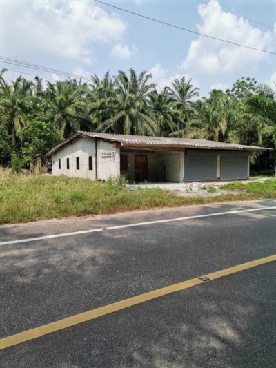 ขายที่ดินสวนปาล์มพร้อมบ้าน ทำเลดี อ.อ่าวลึก จ.กระบี่ - รูปที่ 8