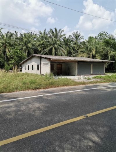 ขายที่ดินสวนปาล์มพร้อมบ้าน ทำเลดี อ.อ่าวลึก จ.กระบี่ - รูปที่ 2