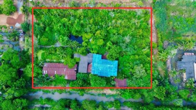 ขายที่ดินสวนหมากเก่า 3 ไร่ 9 ตร.ว. ทำเลดี บรรยากาศบ้านสวน ใกล้ตัวเมืองแปดริ้ว ใกล้วัดหลวงพ่อโสธร 4 กิโล