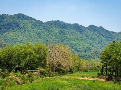 ขายที่ดินเปล่า ทำเลดี วิวภูเขาและวิวแม่น้ำ อำเภอไทรโยค จังหวัดกาญจนบุรี 71150 - รูปที่ 5