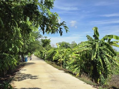 ขายที่ดิน​ถมแล้ว​ 100 ตร.ว​ ข้างวัดพระธรรมกาย​ ซ.คลองสาม 8/9 ต.คลองสาม​ อ.คลองหลวง​  จ.ปทุมธานี - รูปที่ 5