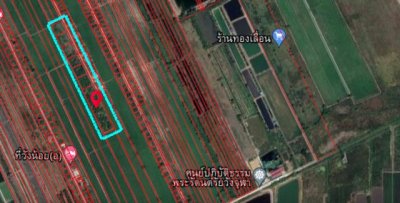 ขายที่ดินวังน้อย อยุธยา (1 ไร่ และ 4 ไร่) ผังเมืองสีเขียว ติดถนนคอนกรีต ซ.วังจุฬา 8 ใกล้พหลโยธิน - รูปที่ 2