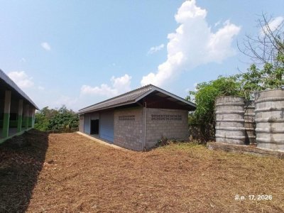 ขายโกดัง ลำพูน ถนน สายบ้านม่วงสามปี - บ้านห้วยหญ้าไท ตำบลนาทราย อำเภอลี้ - รูปที่ 4