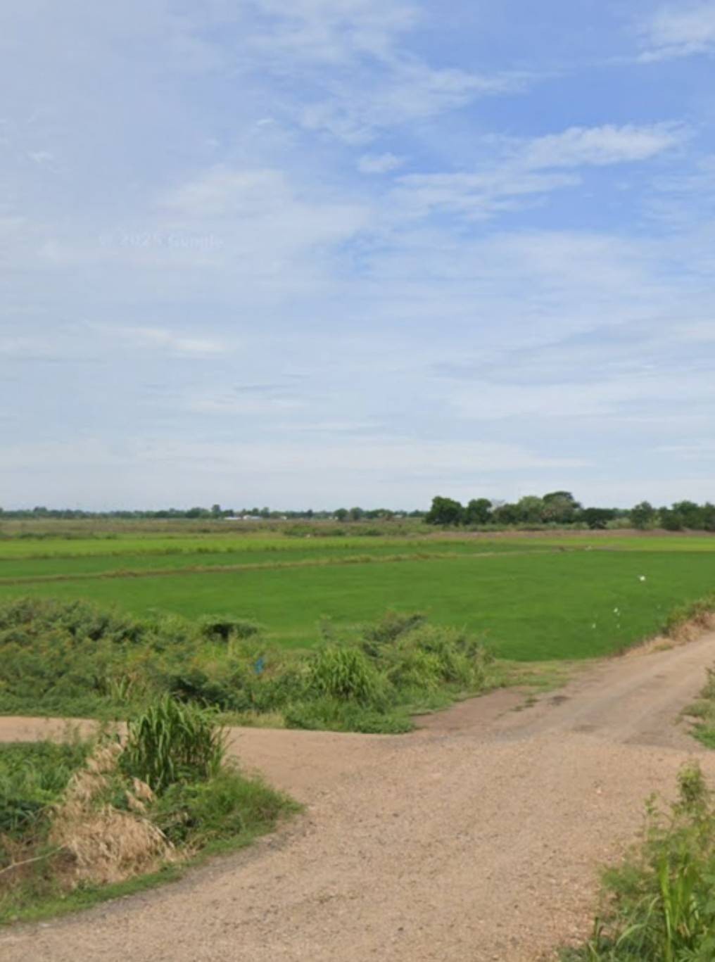 Vาย ที่ดิน 24 ไร่ จ. พระนครศรีอยุธยา ไร่ละ 300,000 บ. ต. บ้านขวาง ต. น้ำเต้า อ. มหาราช (ใกล้ แยกเจ้าปลุก ,ถ.ทางหลวง 3267 อ่างทอง - ท่าเรือ)