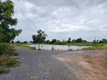 ขายที่ดินบ้านโพธิ์ฉะเชิงเทรา ที่ดินเนื้อที่รวมทั้งหมด 22-3-24 ไร่ (มีทั้งหมด 2 แปลง)