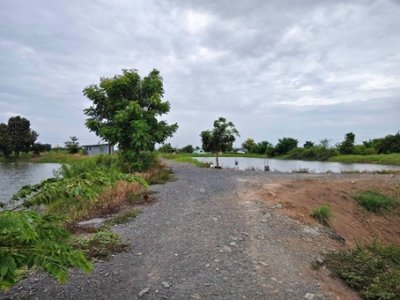 ขายที่ดินบ้านโพธิ์ฉะเชิงเทรา ที่ดินเนื้อที่รวมทั้งหมด 22-3-24 ไร่ (มีทั้งหมด 2 แปลง) - รูปที่ 2