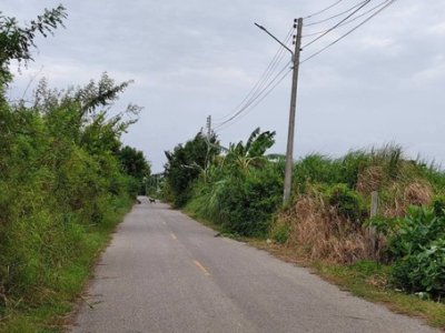 ขายที่ดินบ้านโพธิ์ฉะเชิงเทรา ที่ดินเนื้อที่รวมทั้งหมด 22-3-24 ไร่ (มีทั้งหมด 2 แปลง) - รูปที่ 8